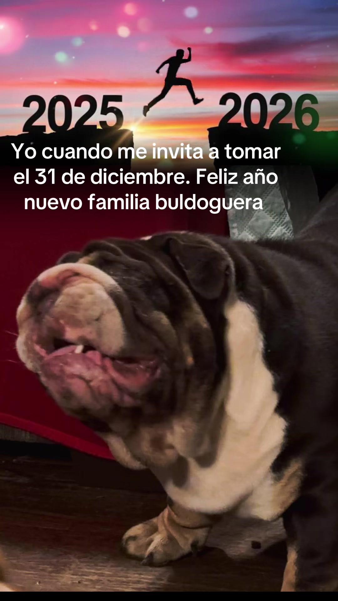 @Joel Rodriguez3889