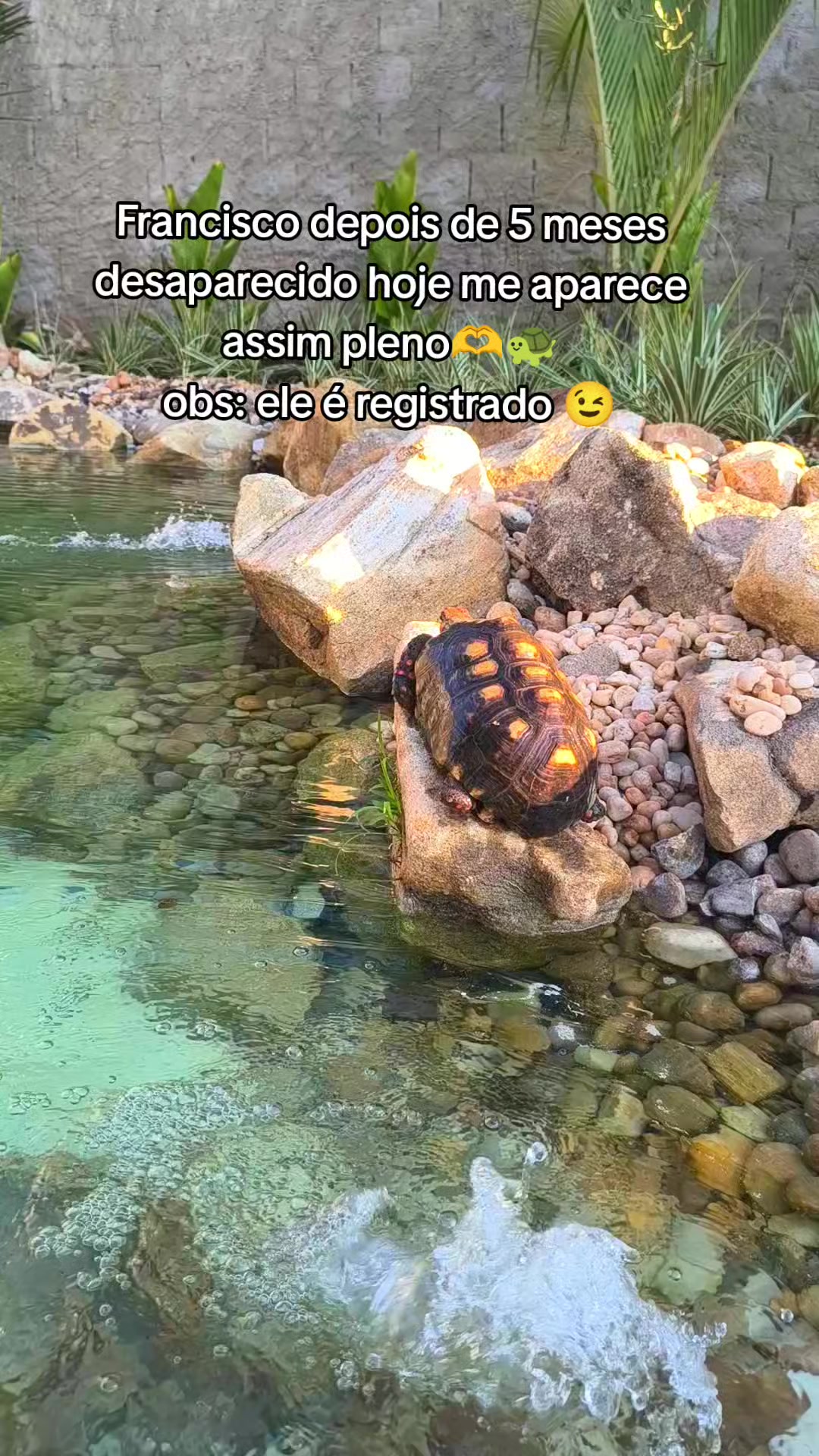 @Léia Moreira
