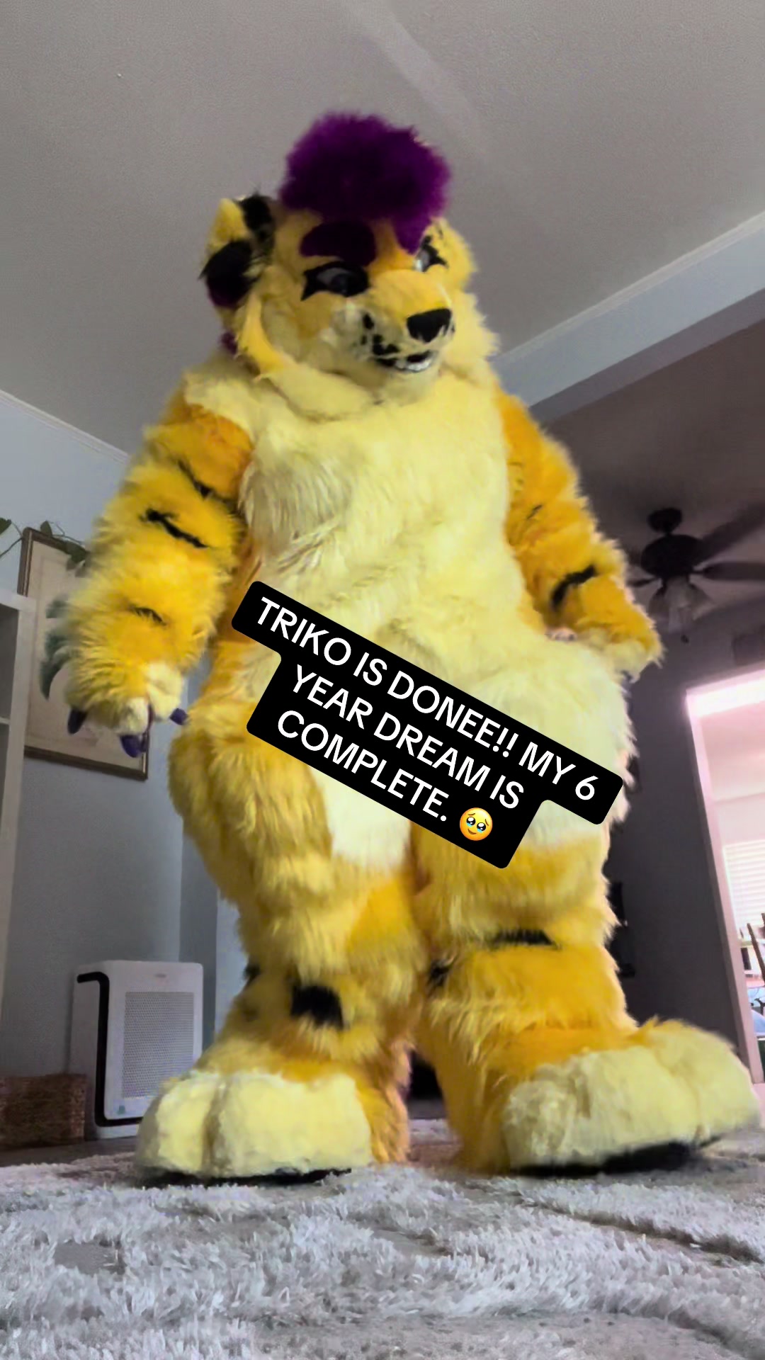 @Wolfyy!! ‼️‼️