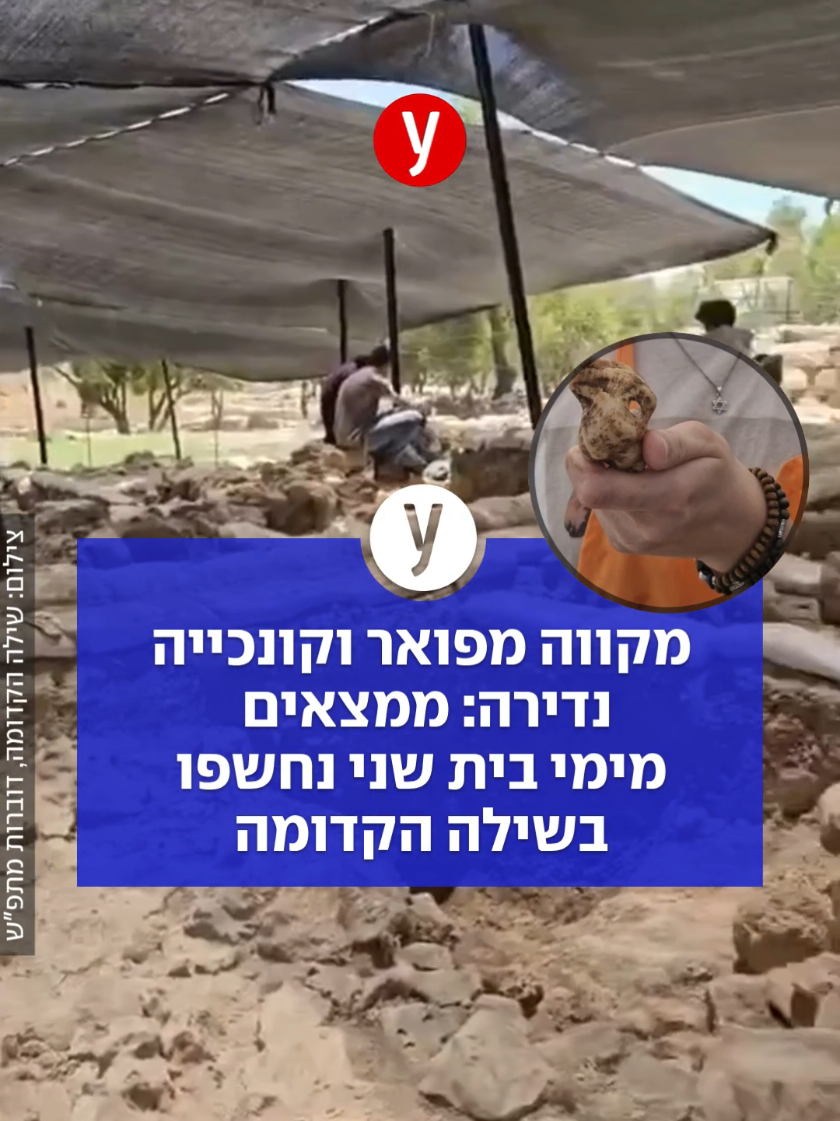 @ynet