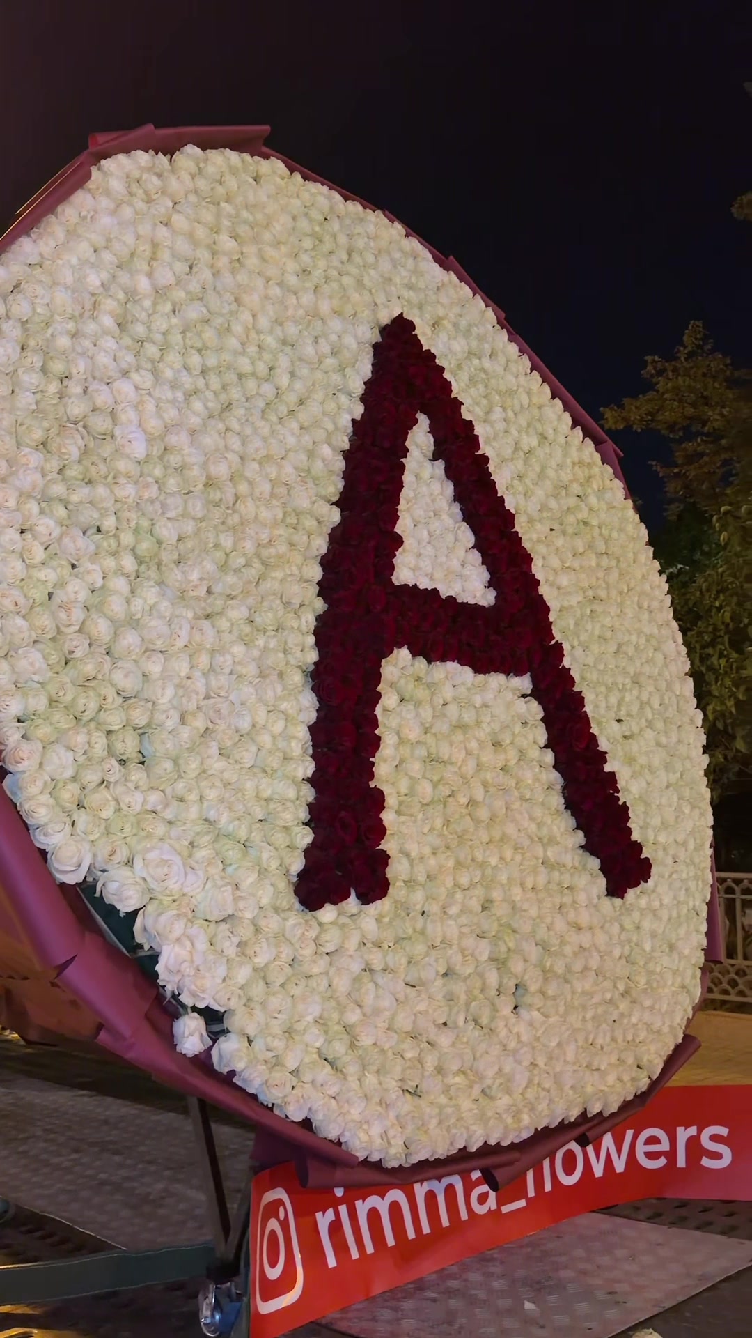 @Акула 🔥
