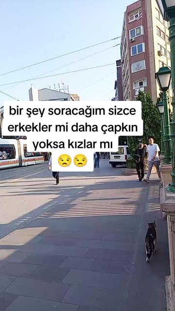 @mizgin