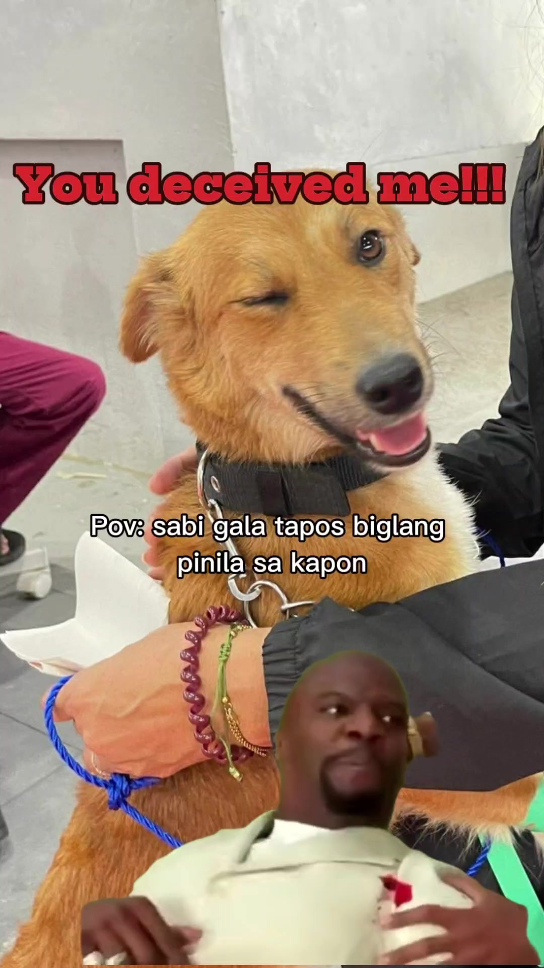 @AnimalKingdomFoundation