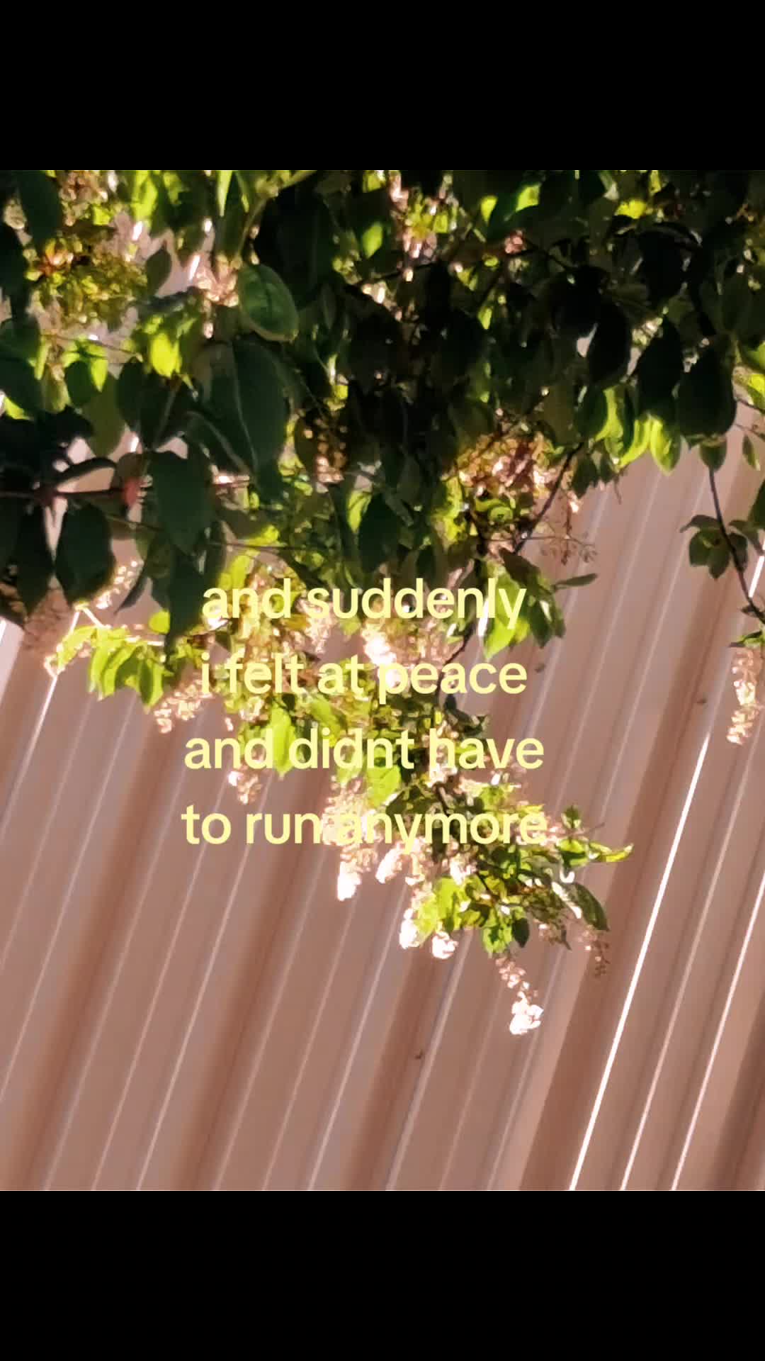 @⚔️〔ĜÂƁŶ〕⚔️