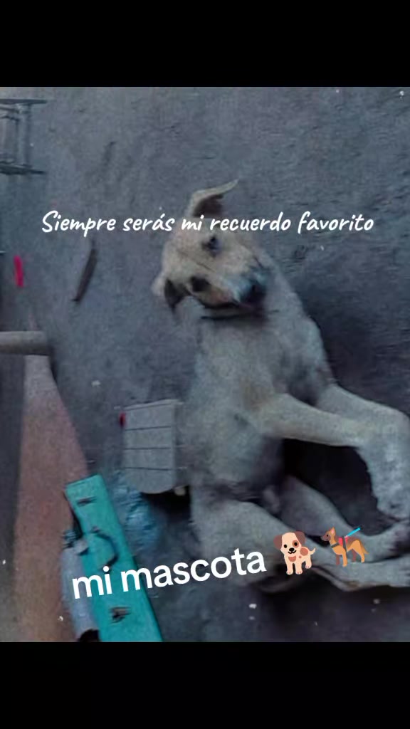 @🍒Stefany 🍒