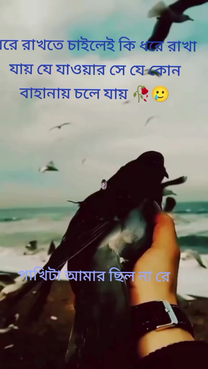 @nazma