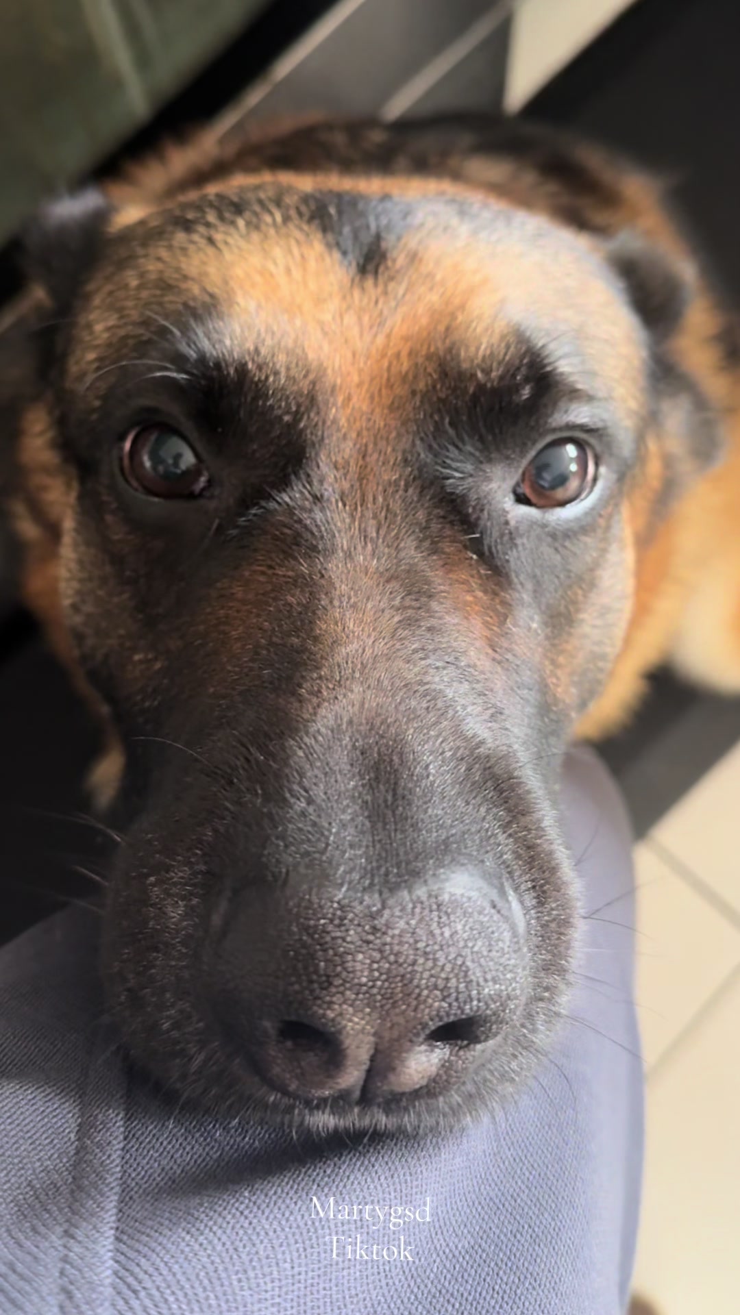 @Martygsd