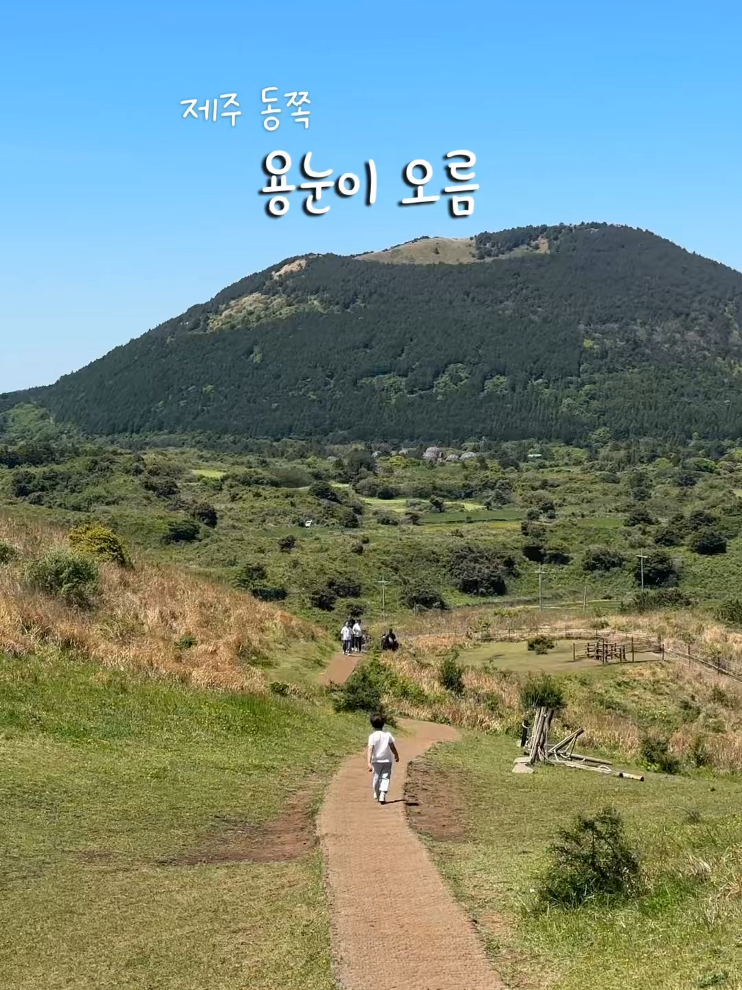 @제주도
