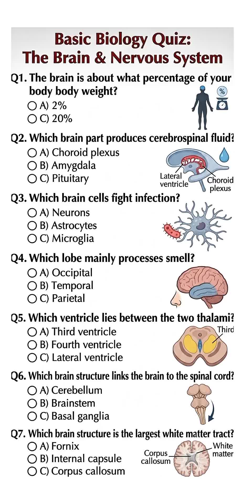 @Daily Quiz