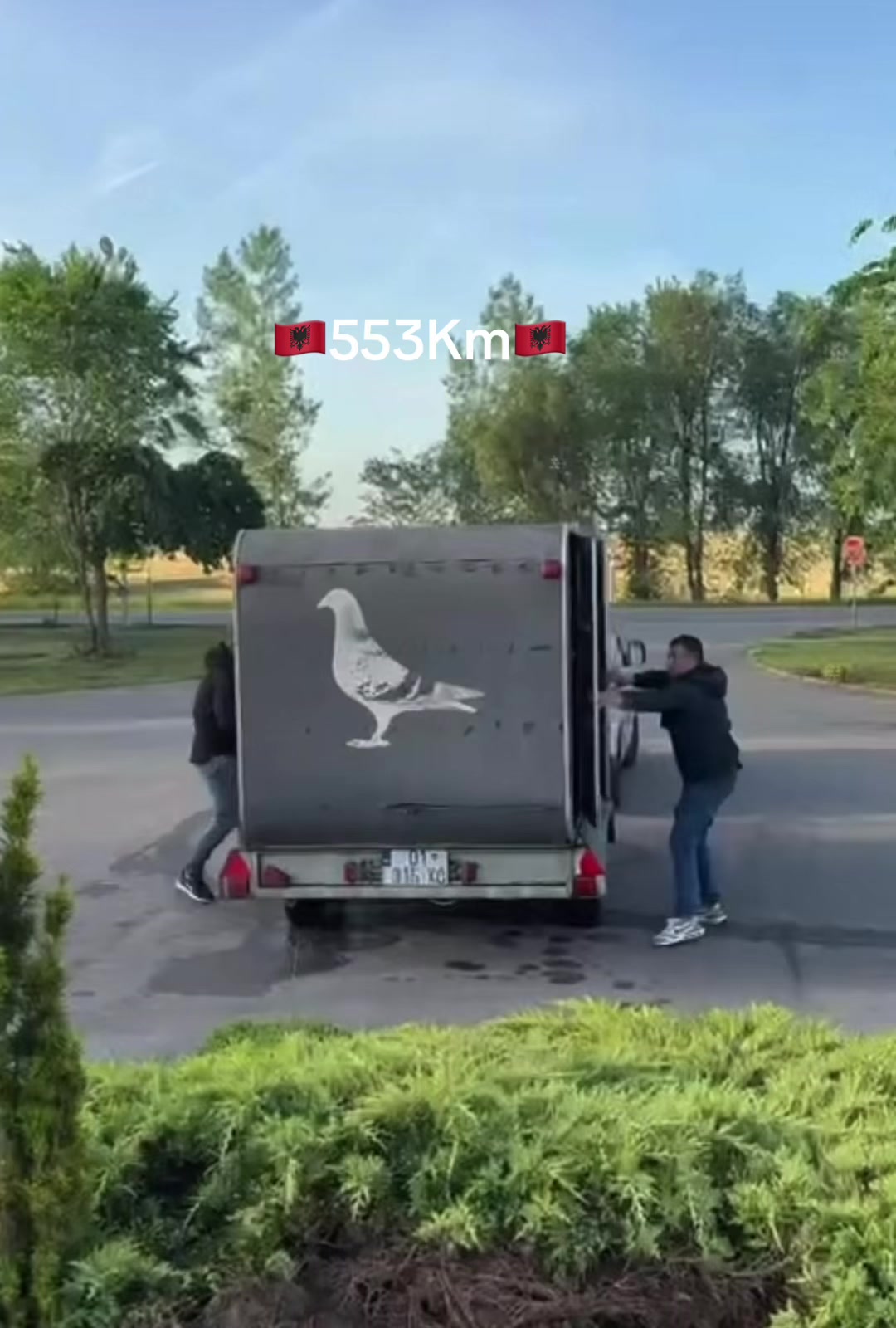 @Unic Pigeons ๐๏ธ๐๏ธ