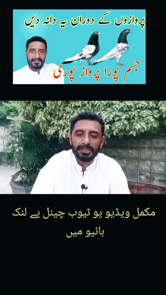@KABOOTAR PARWAR VLOG