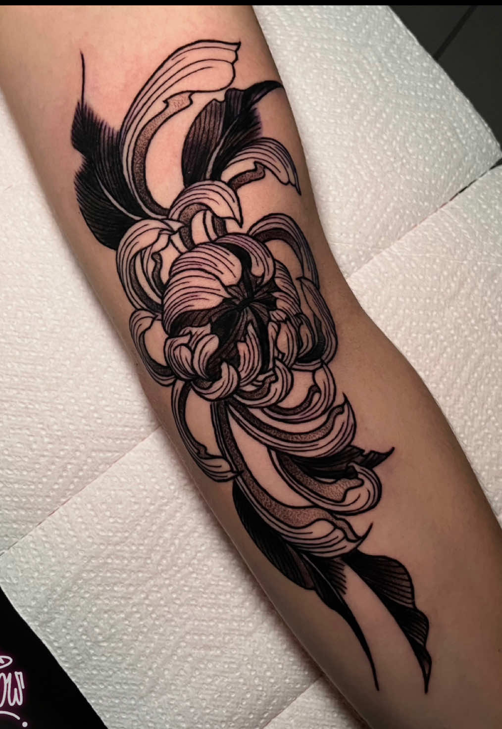 @agathacrow.tattoo