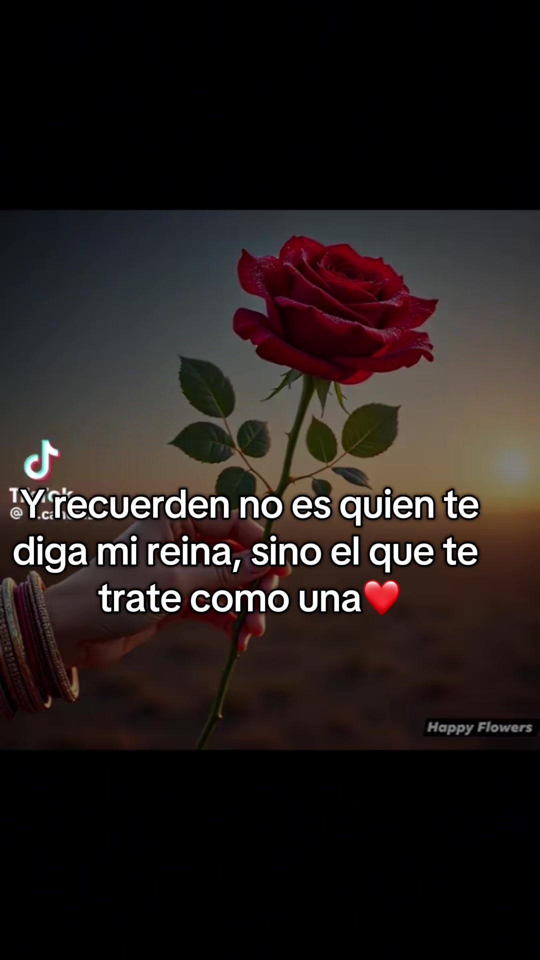 @latinadmgv