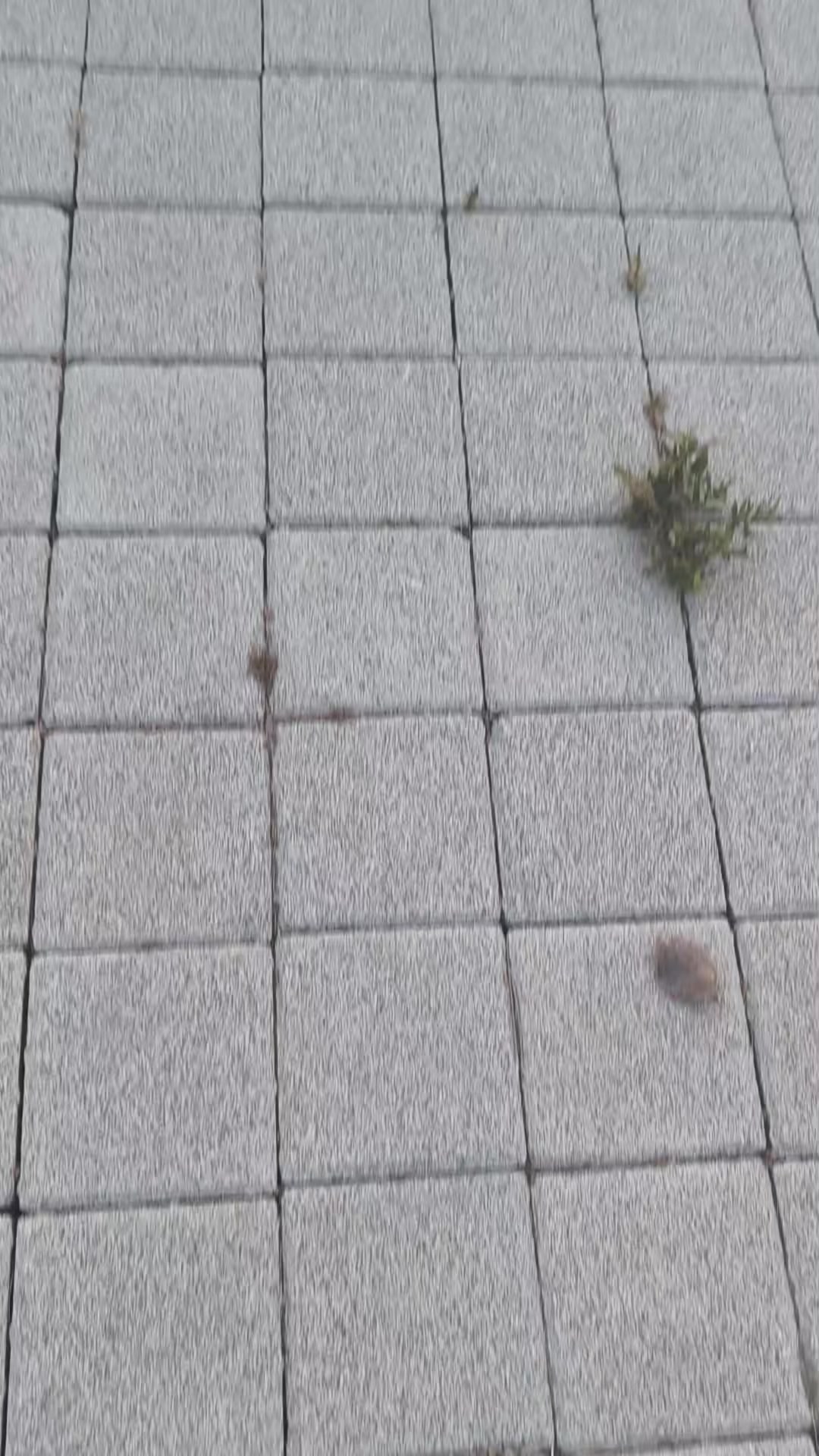 @selim sarıyiğit
