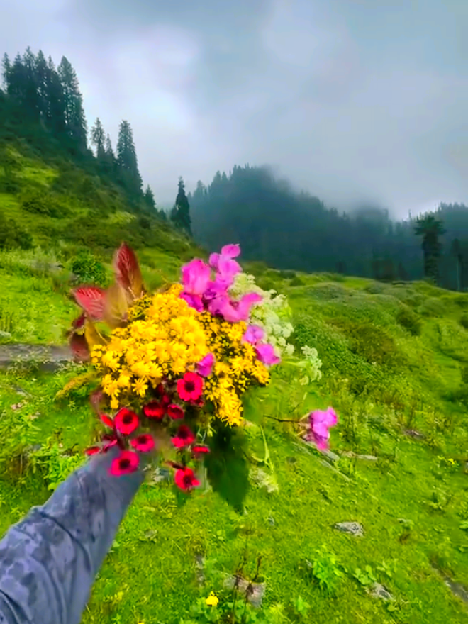 @Mr_Tariq