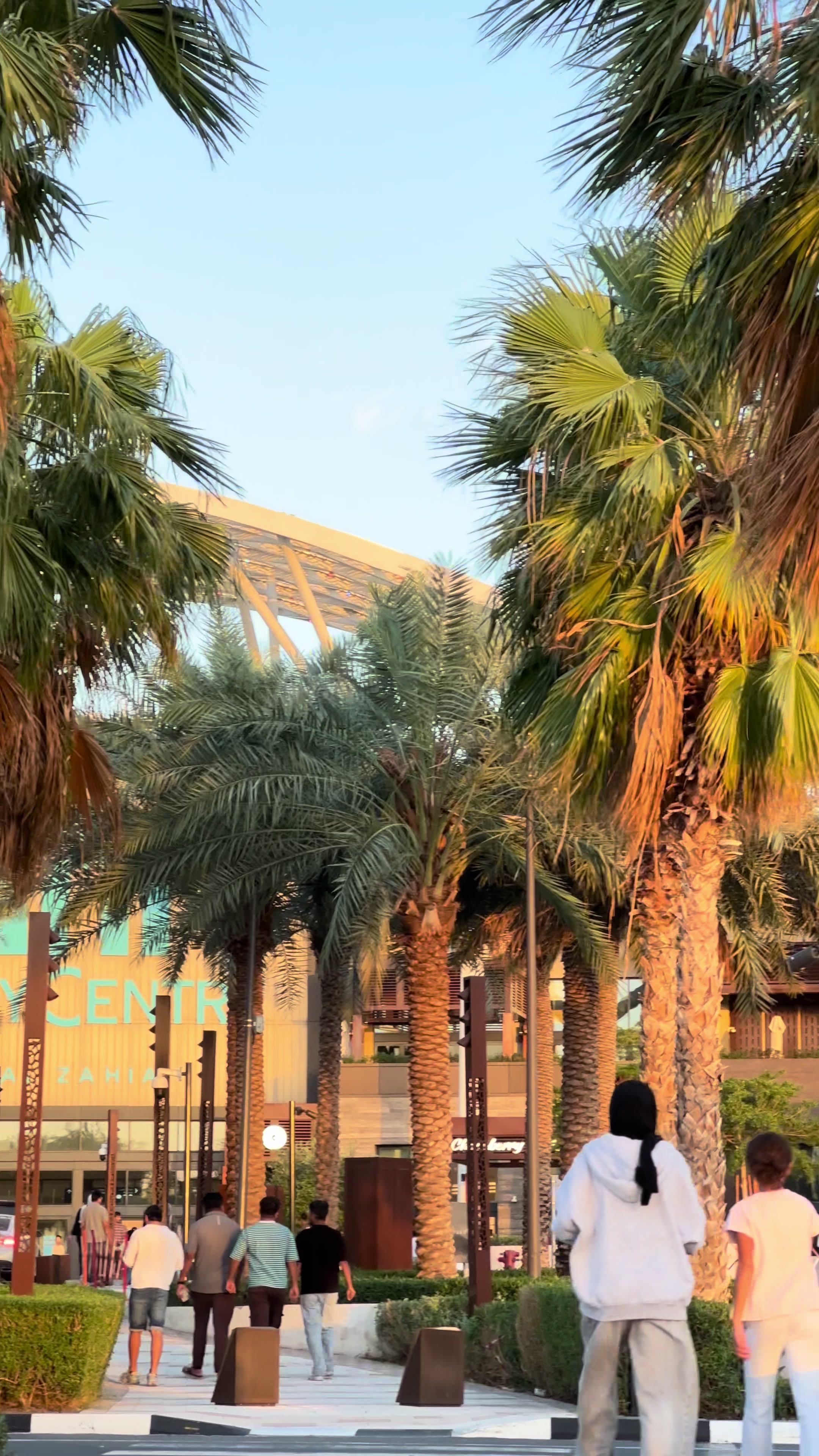 @thehammadgillani