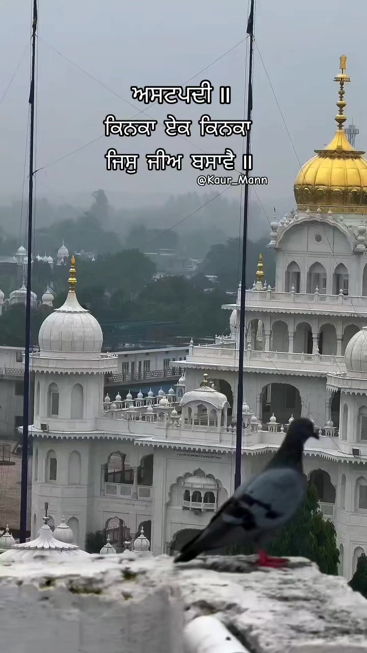 @𝕂𝕒𝕦𝕣 𝕄𝕒𝕟𝕟
