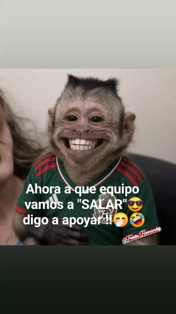 @Fresita🍓🍓🍓
