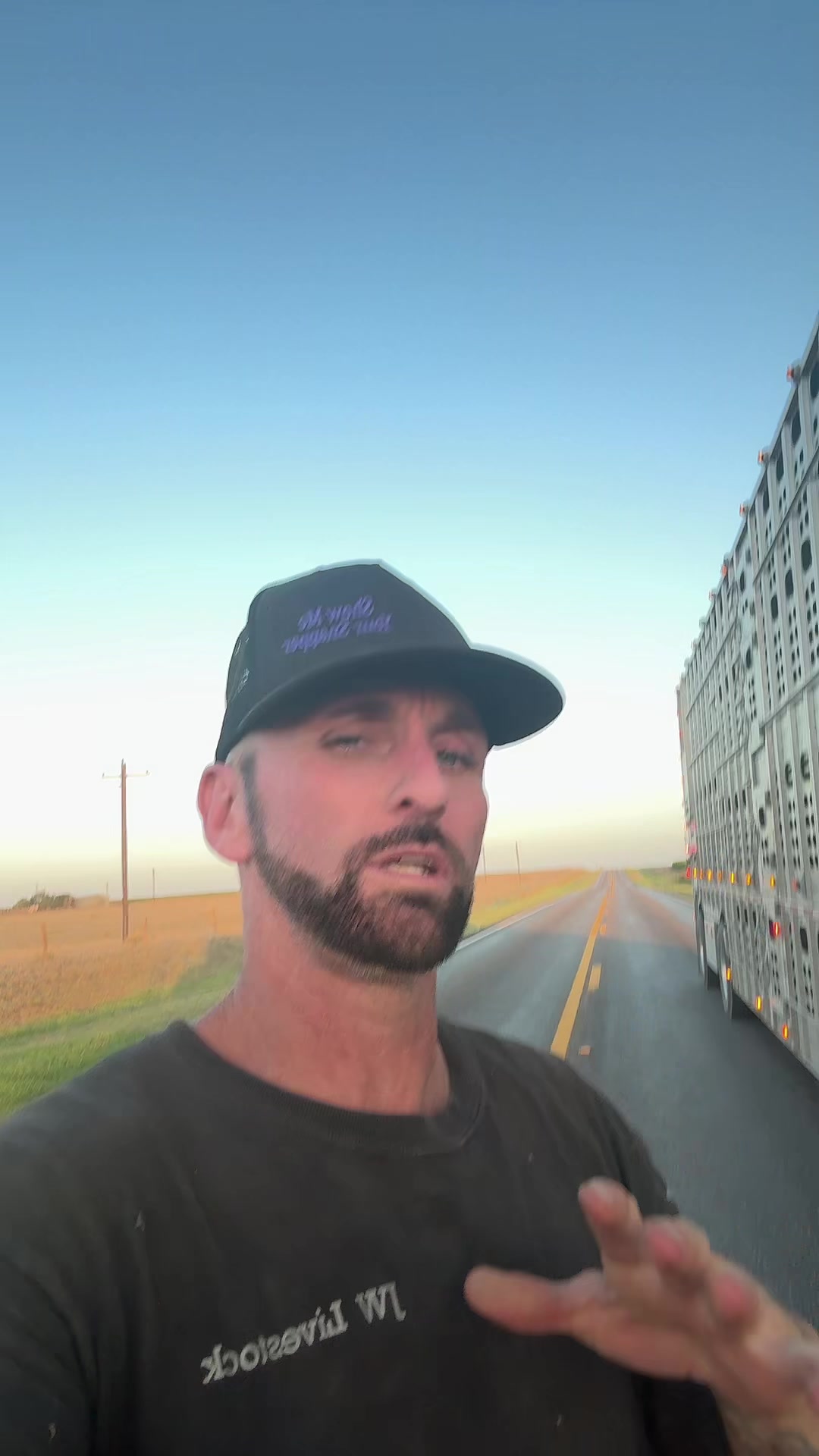 @bryanleecattlelife