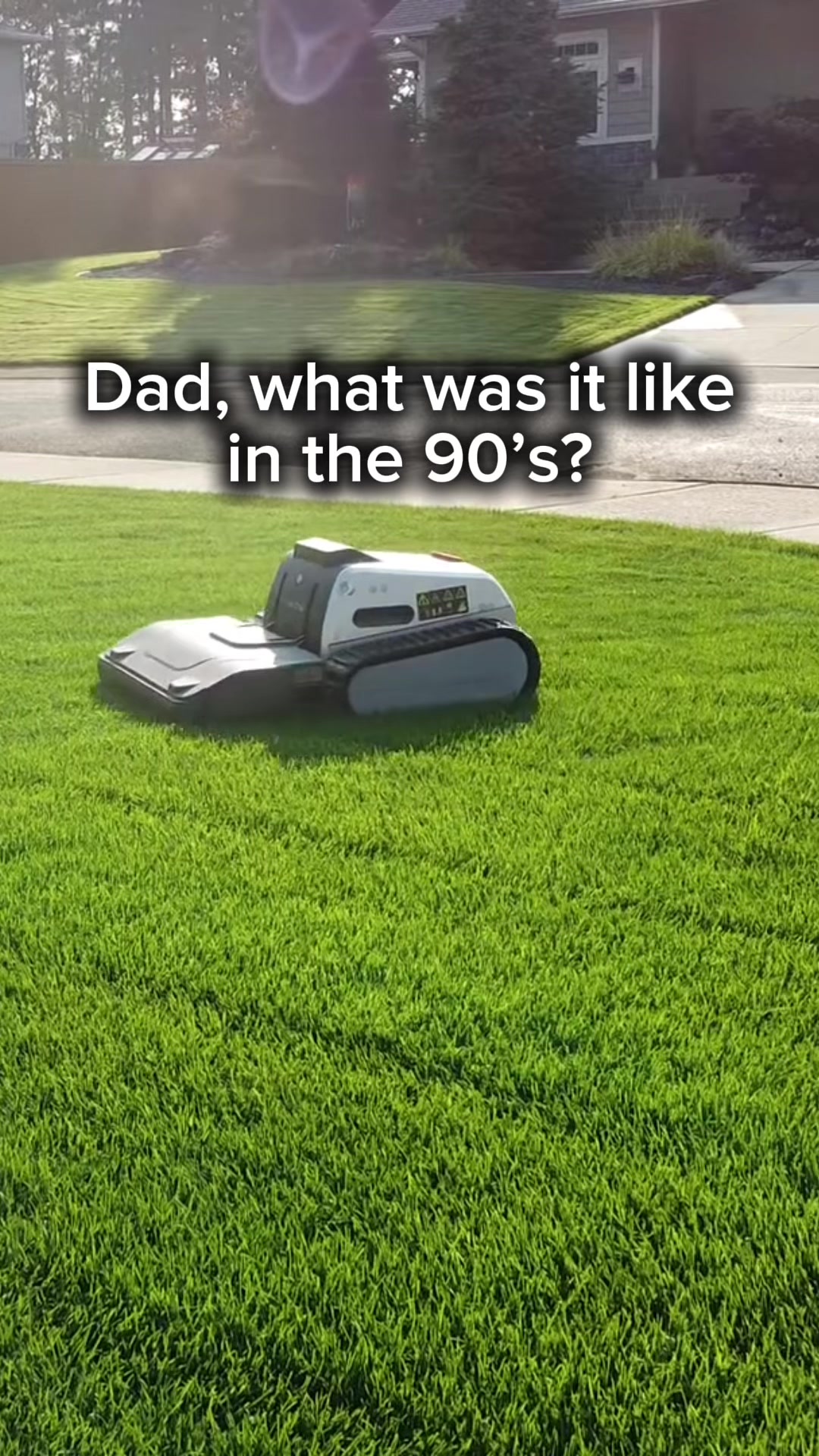 @Lawngest Yard