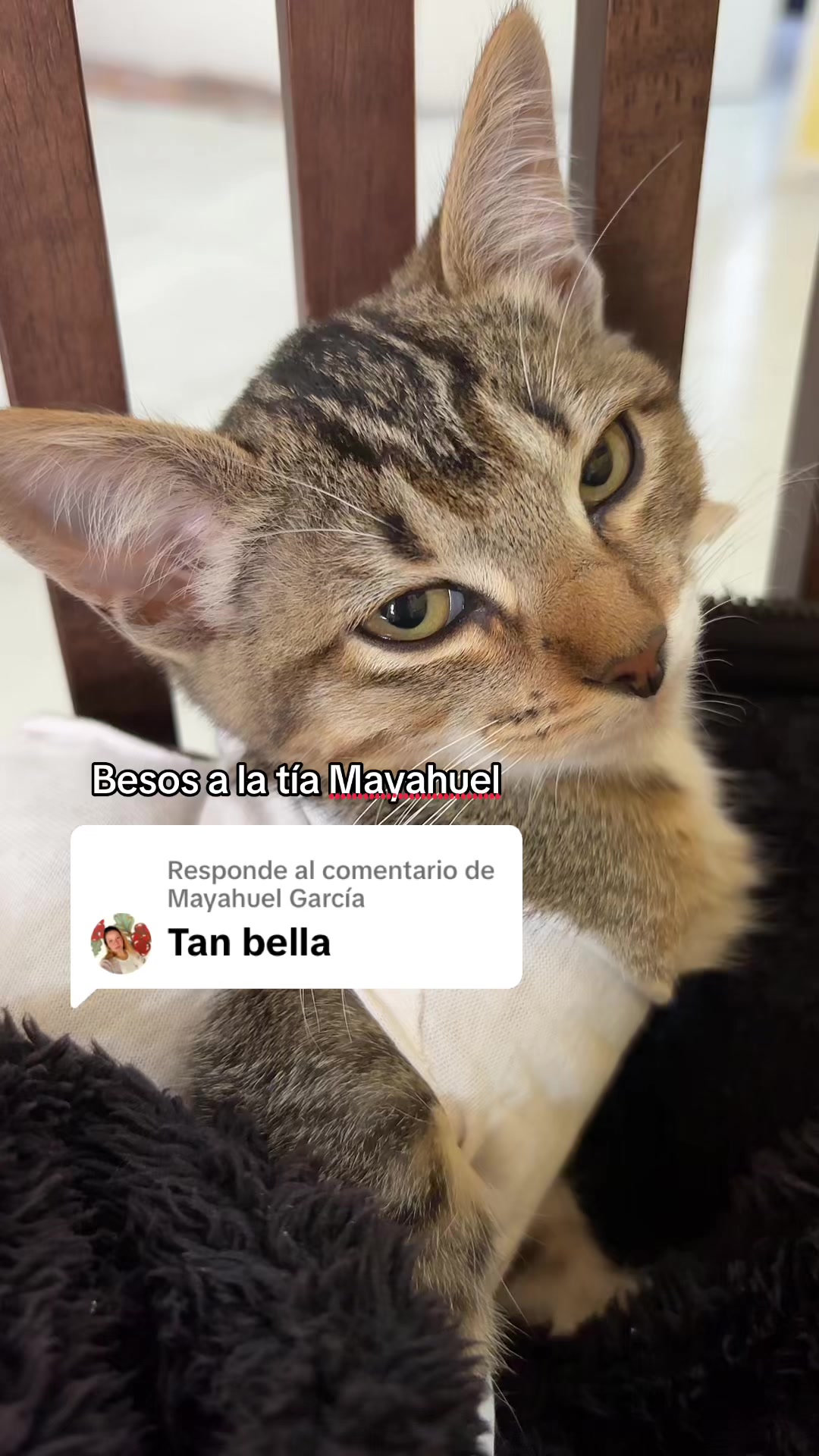 @Anel Morales 🧚&zwj;♂️