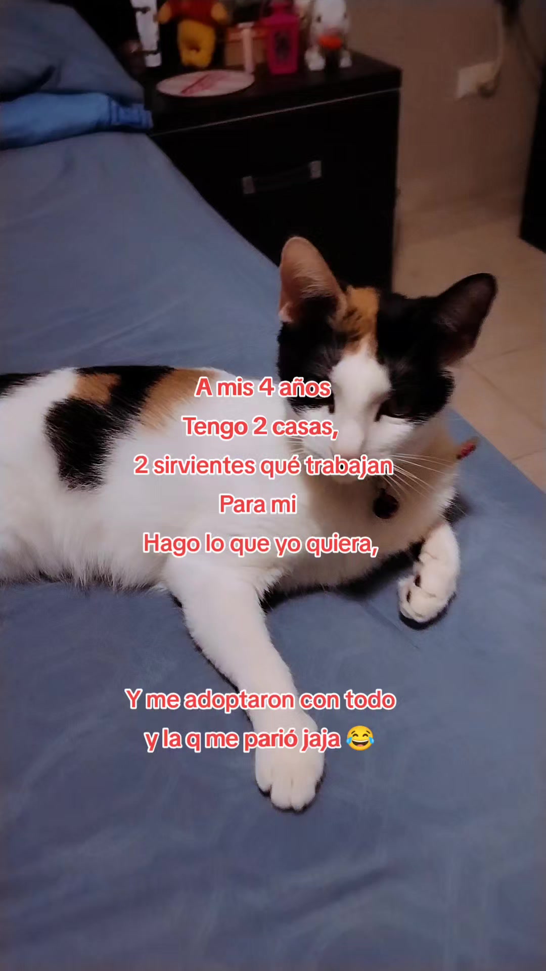 @Mayka(Marifer)✨♉💜🧚♀️🧿