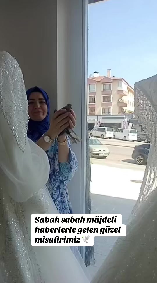 @Seval gelinlik
