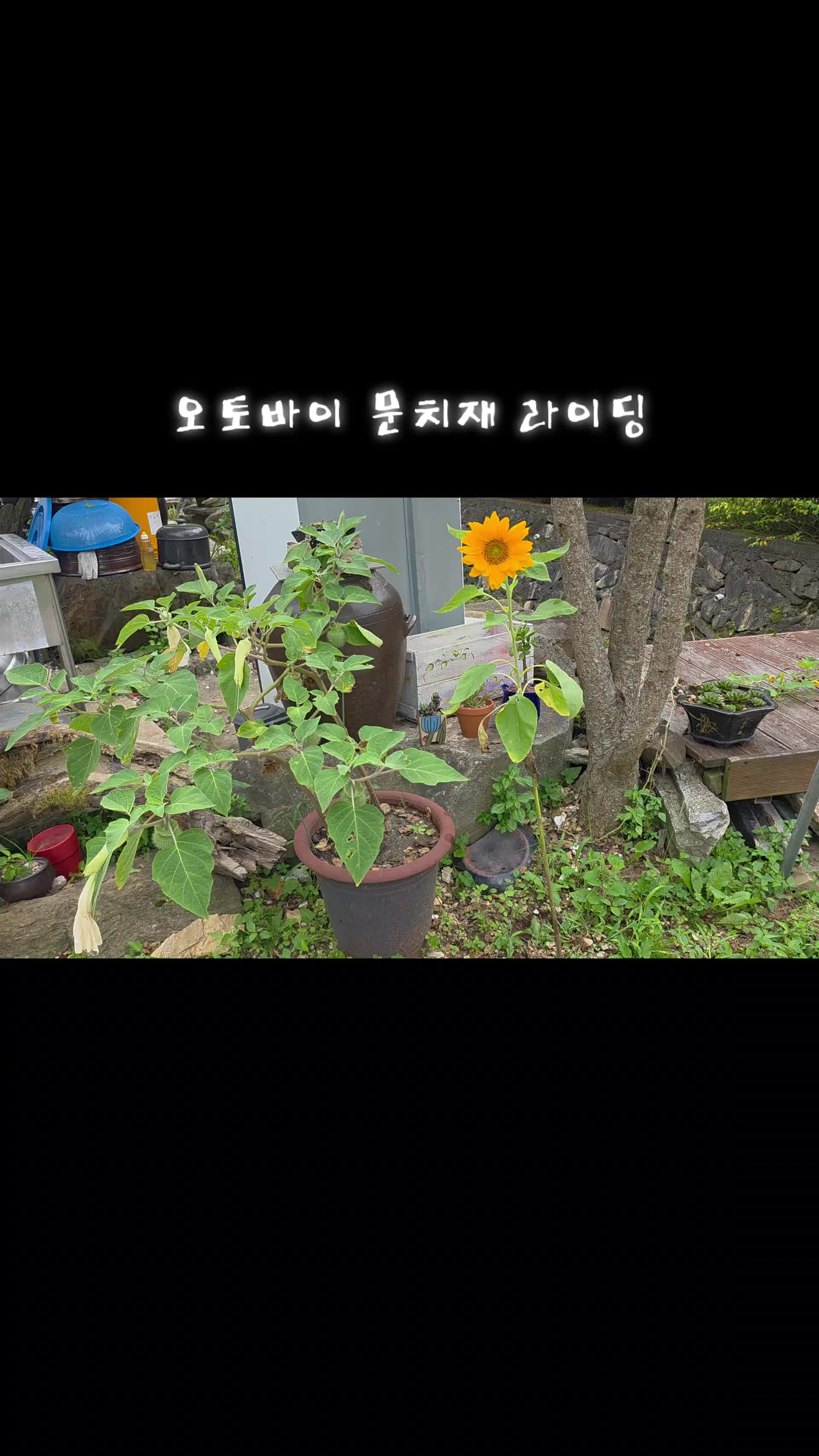 @유튜브 "정선사람들" 안용현