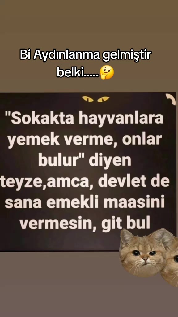 @HAYCAN MEDYA 🌐✔️