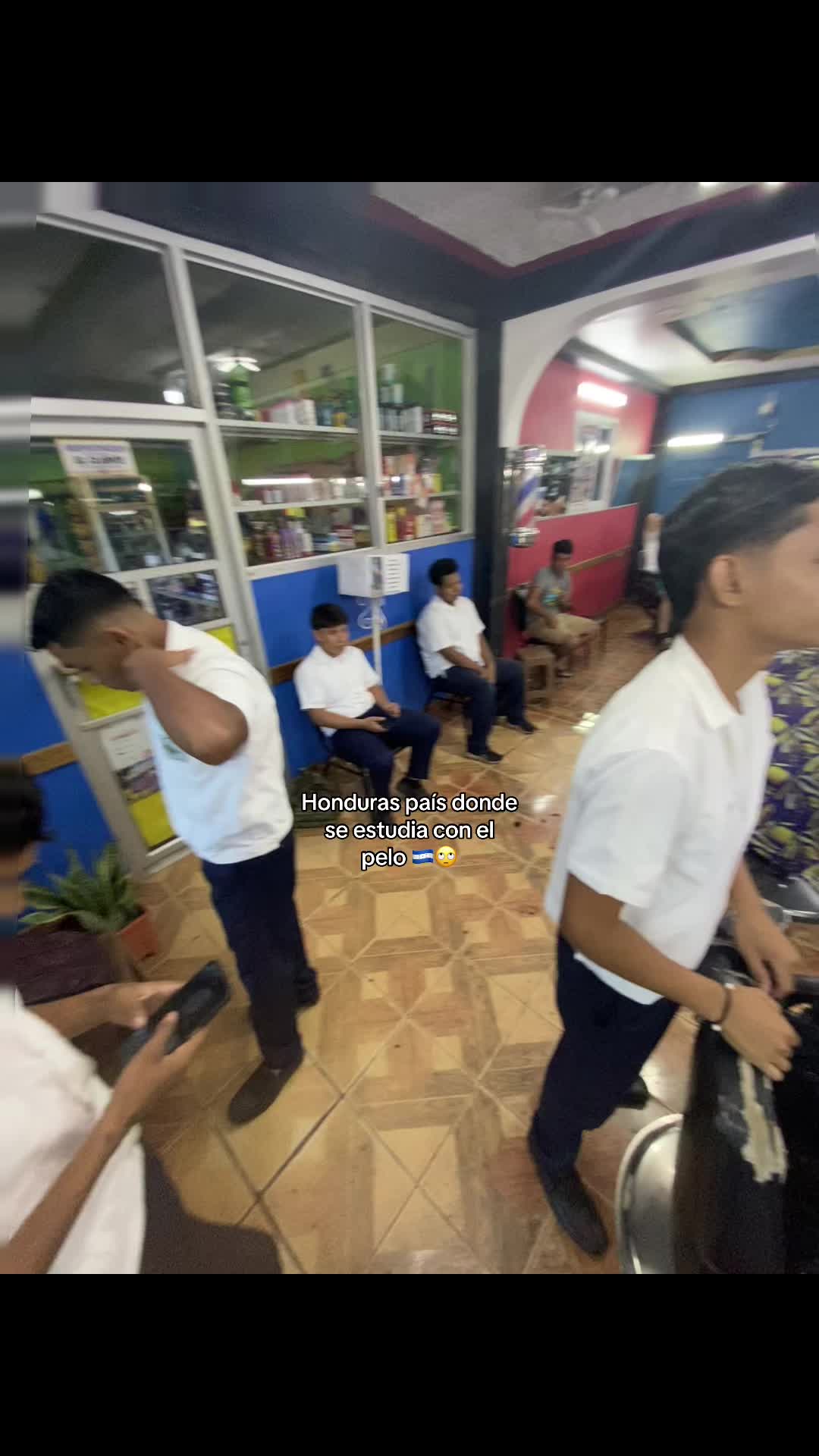 @promo_2026🔥🎓