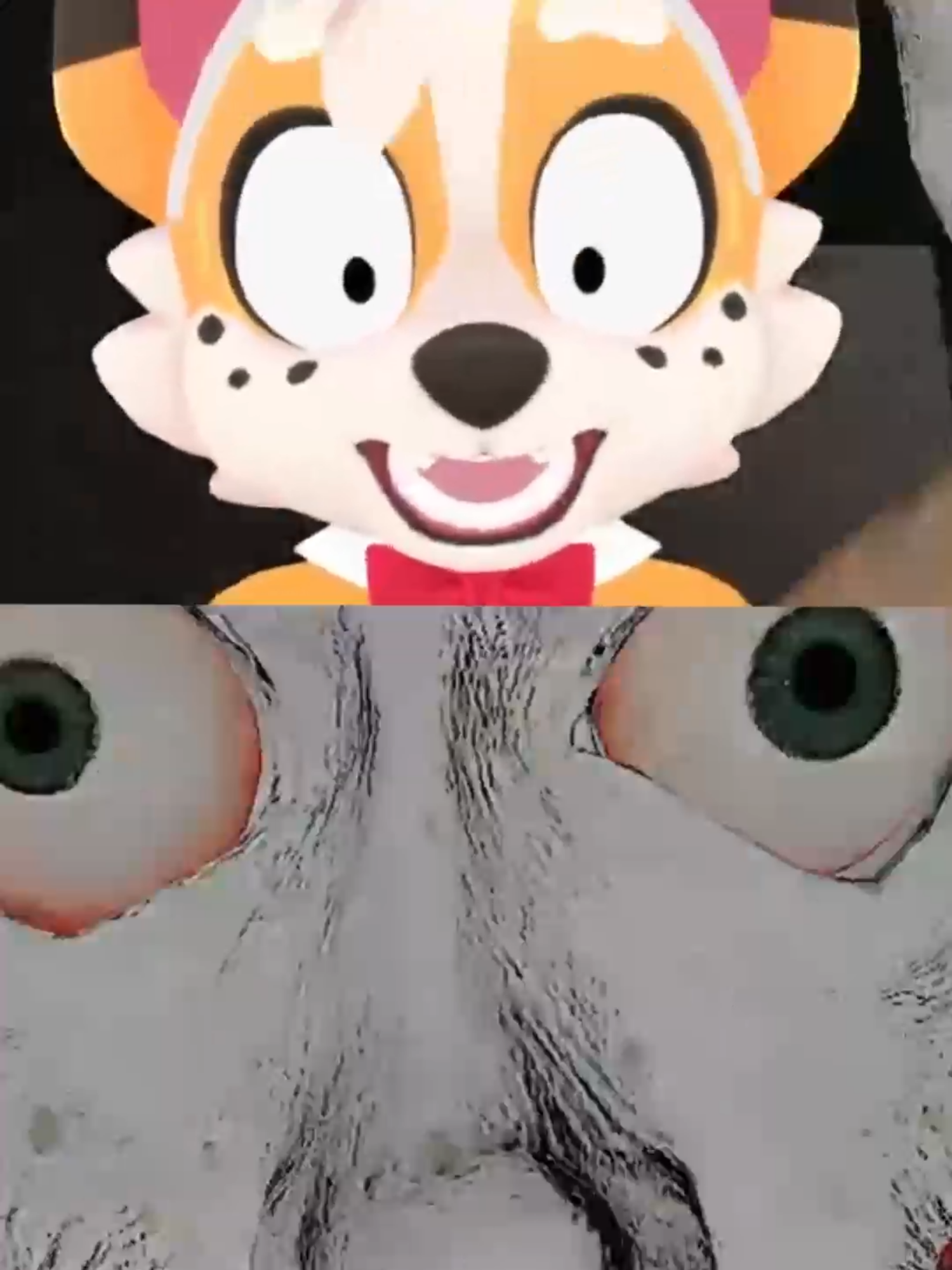 @Corgi