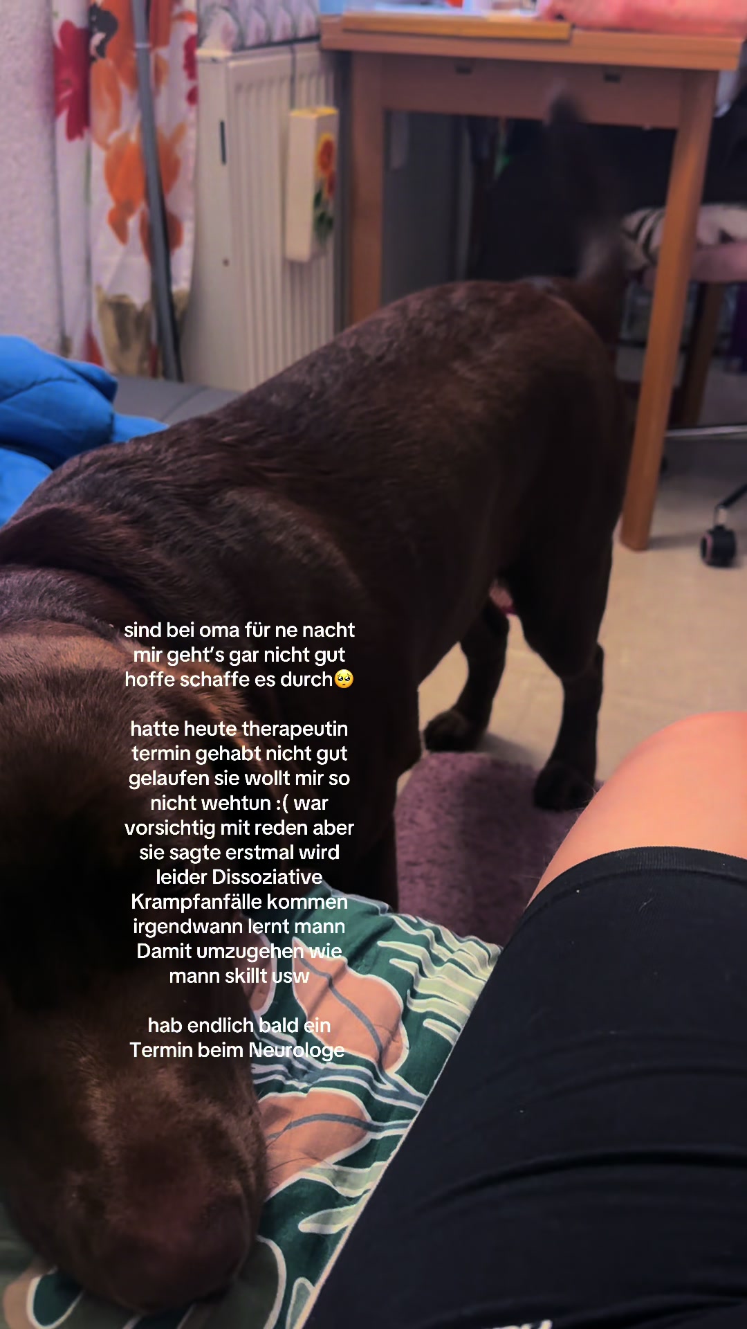 @teamlidialissy