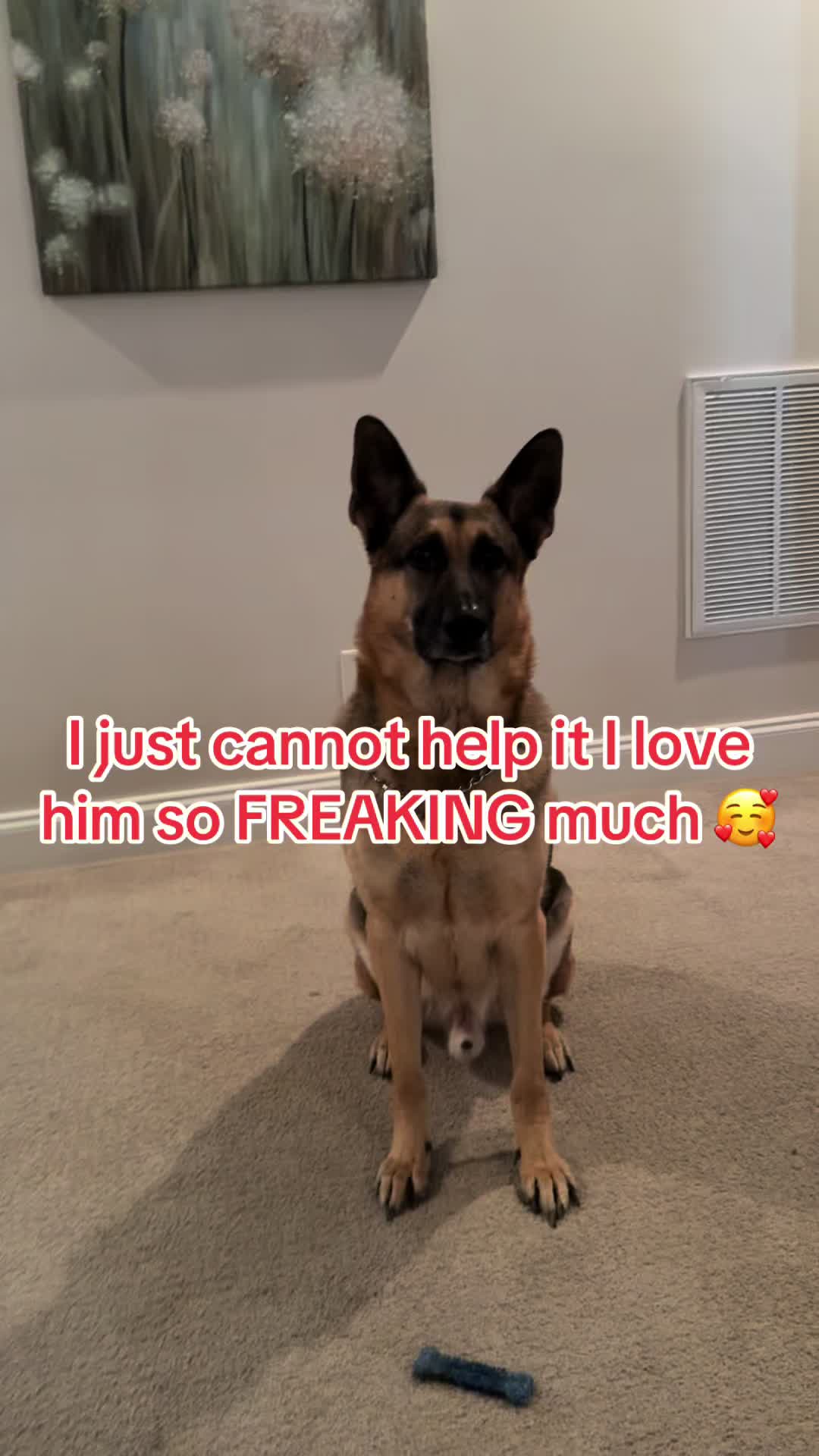 @Lauren