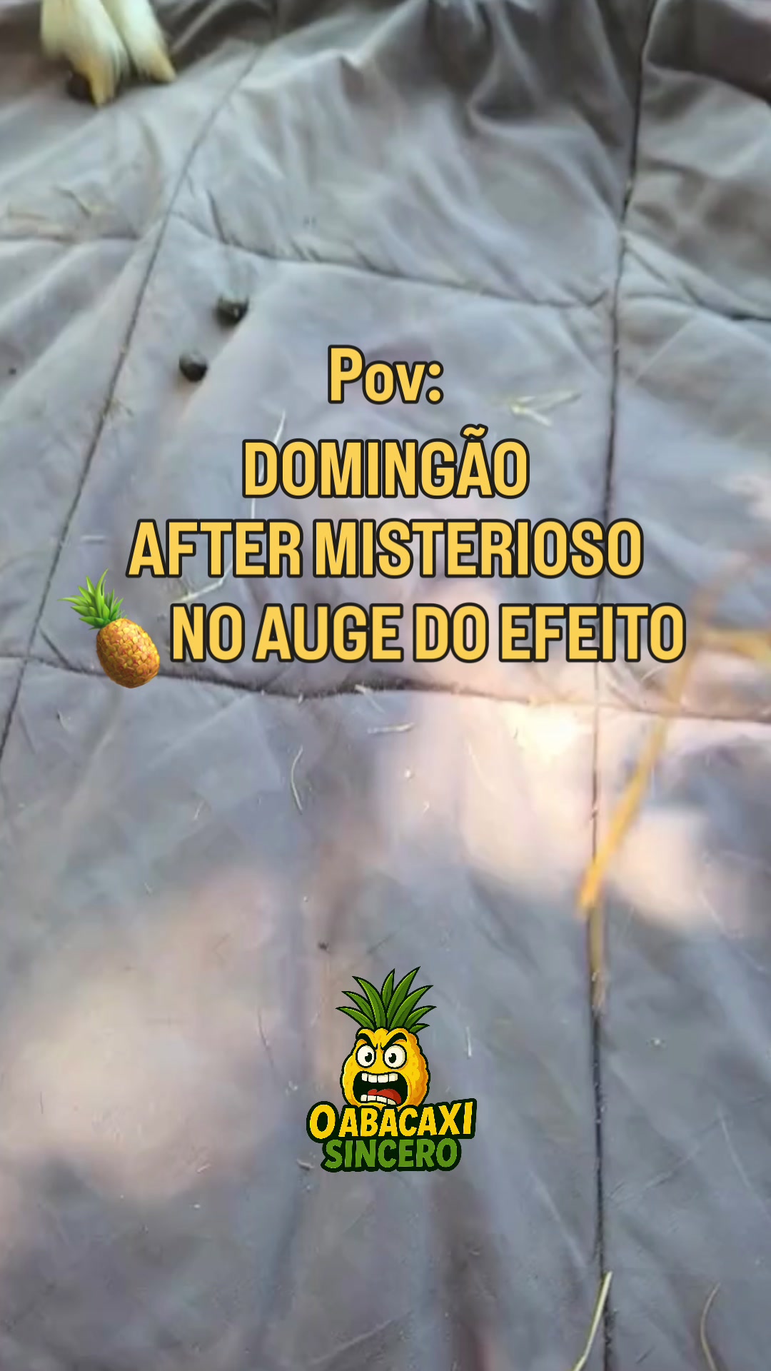 @oabacaxisincero