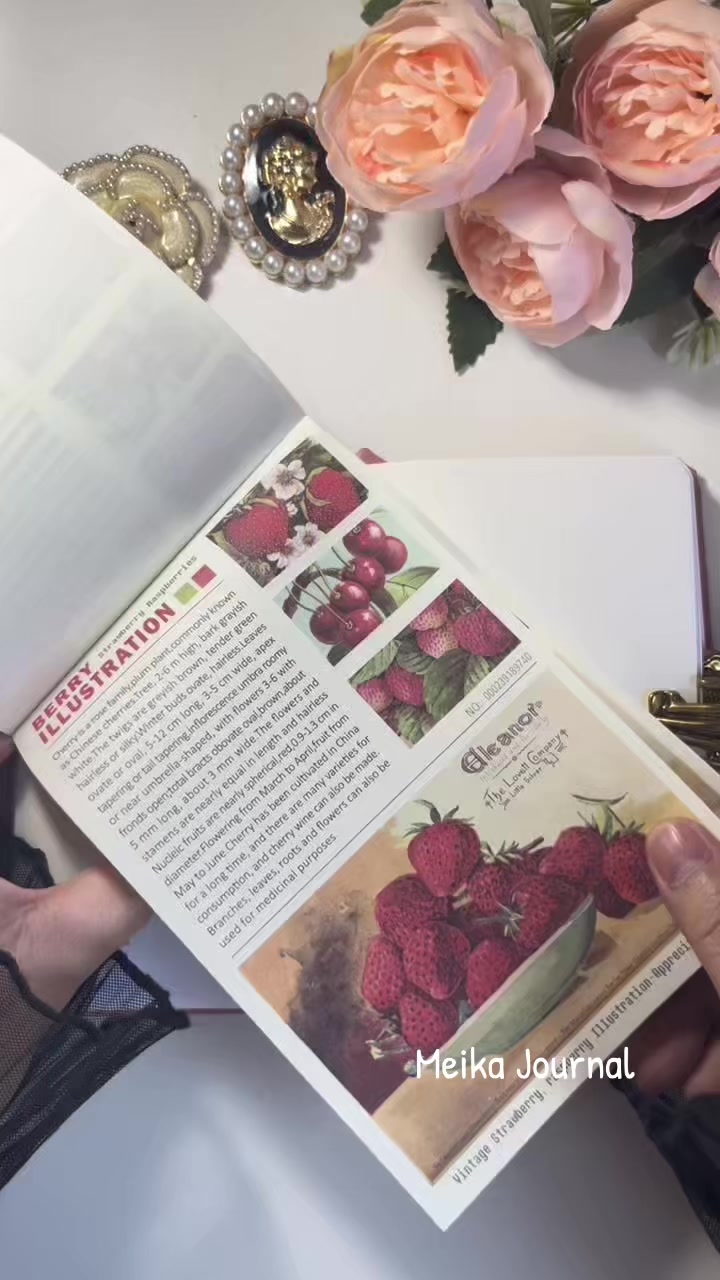 @meika_journals