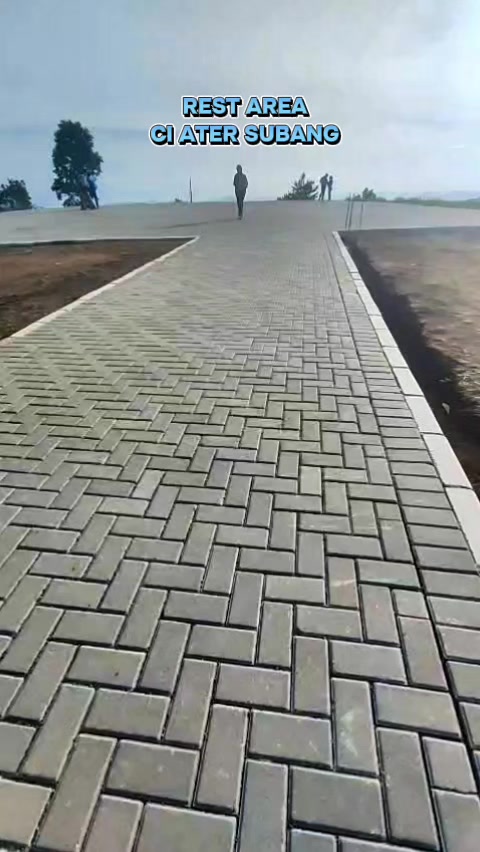 @vieagnur
