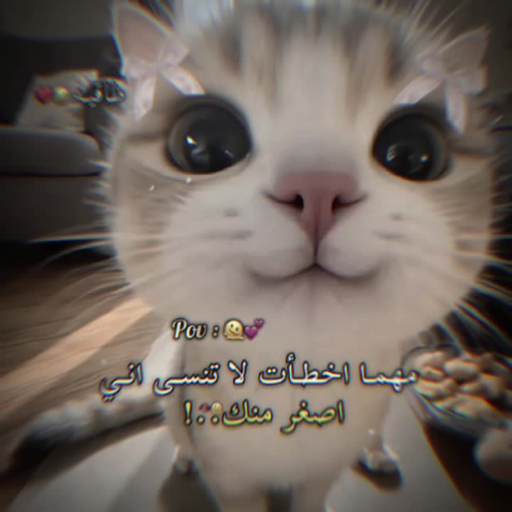 @الہَِ حمووشة|🖤؟.