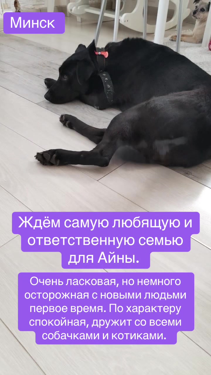 @Vita