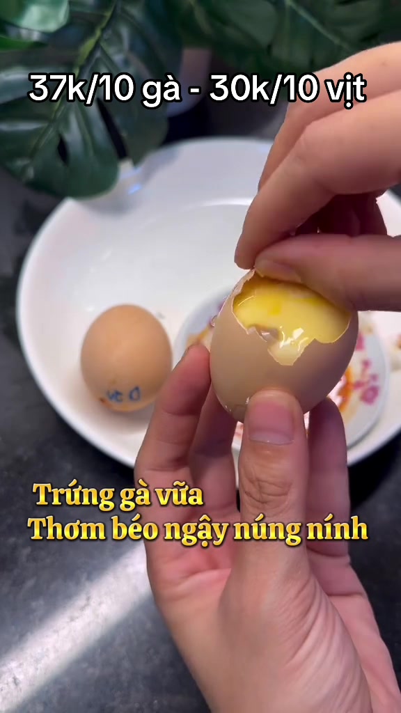 @Trứng vữa Kim Giang