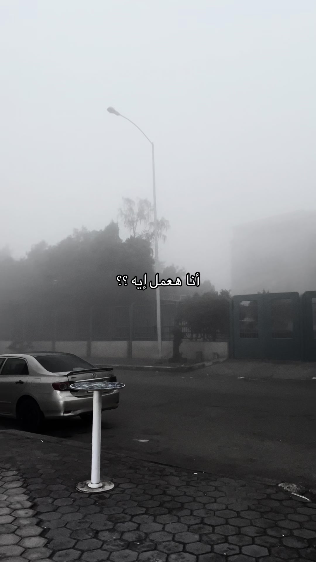 @ᴹᵒˢᵗᵃᶠᵃ ᴴᵃˢˢᵒⁿᵃᵃ