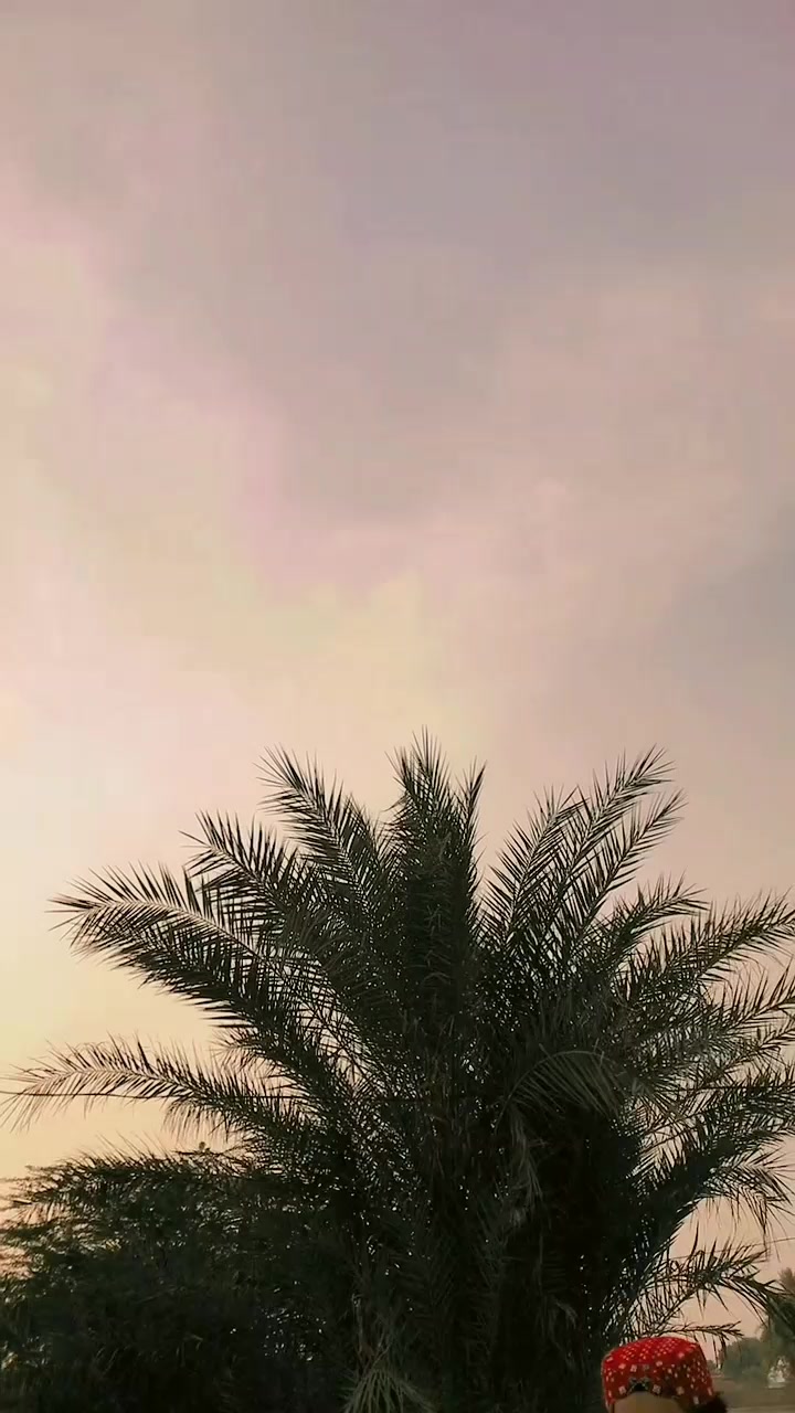 @ARسLAN^ :HARAج