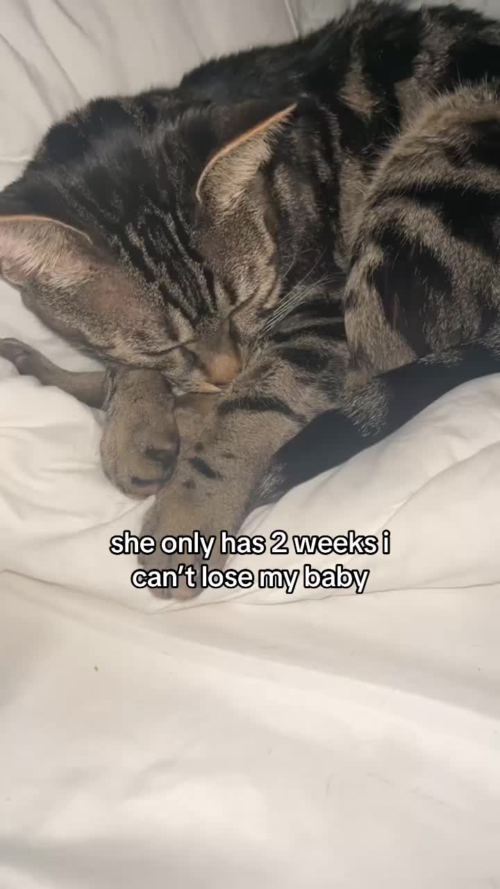 @Olivia