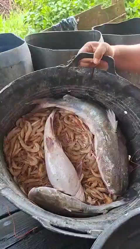@nopi yani