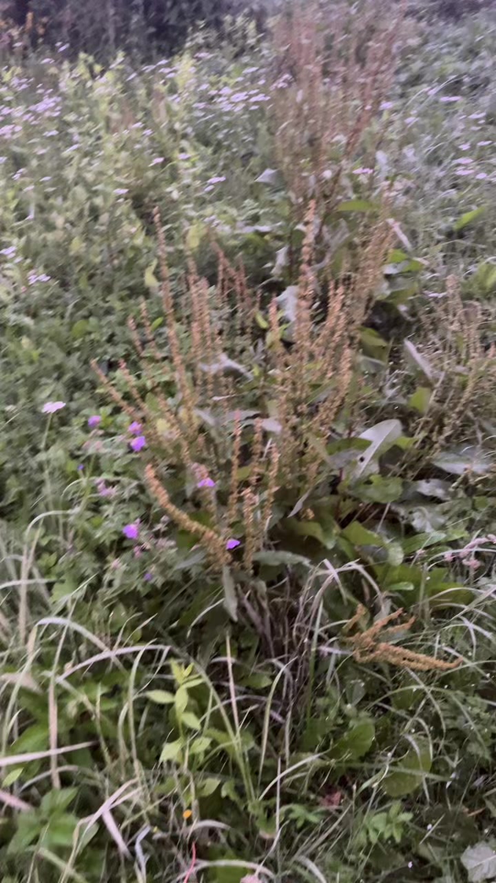 @мне не