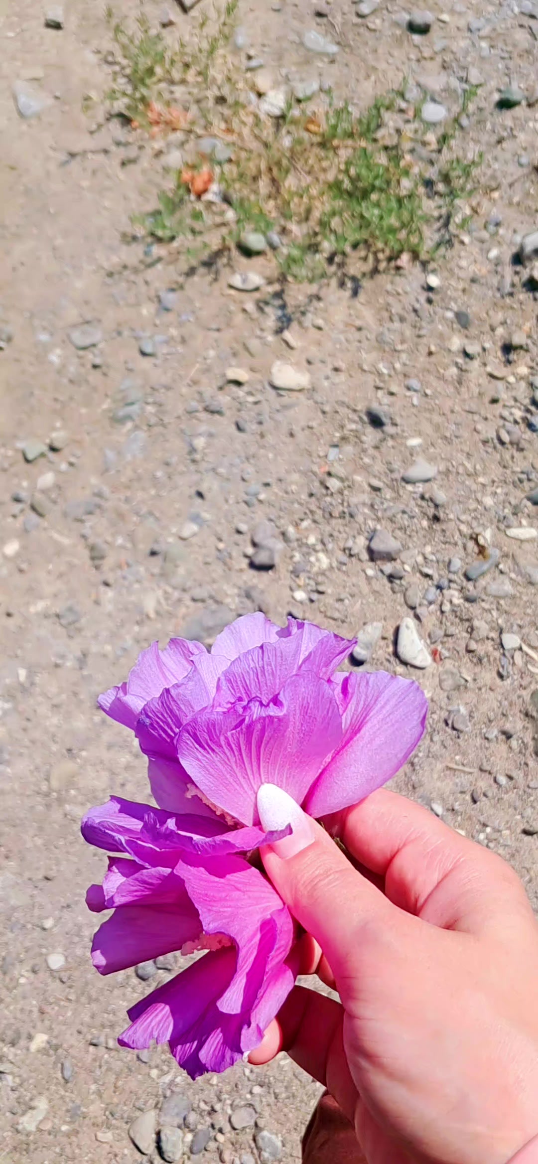 @Rufanə🪡 Nur