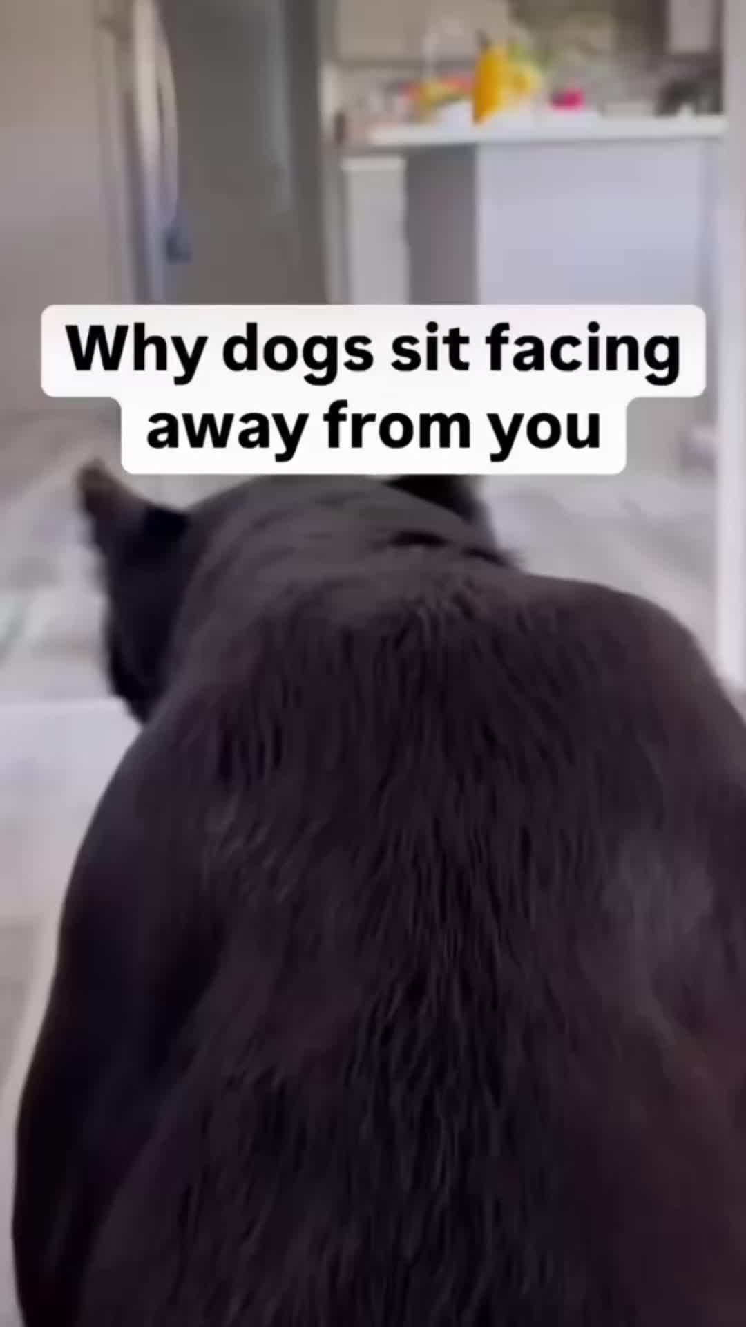 @gusgusinthecity