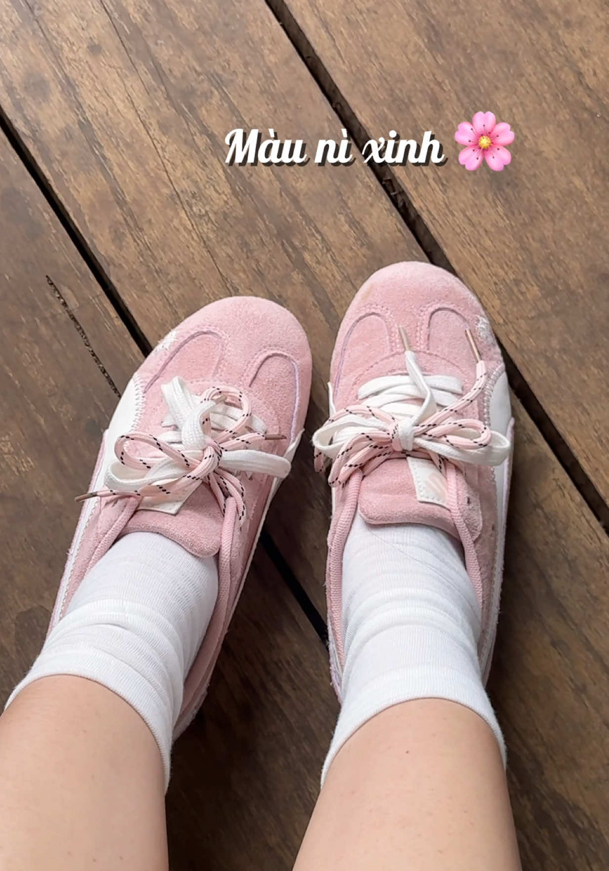 @Tuyền Xu R&igrave; Viu 🛍️