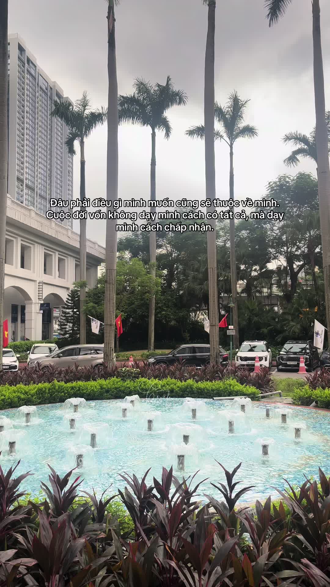 @Reels của Tình 🫧