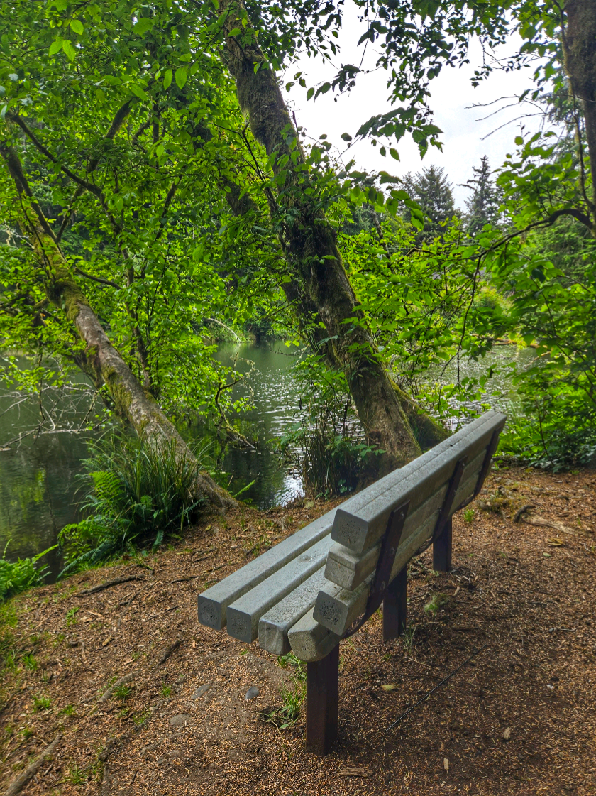@The PNW Bucket List & Global