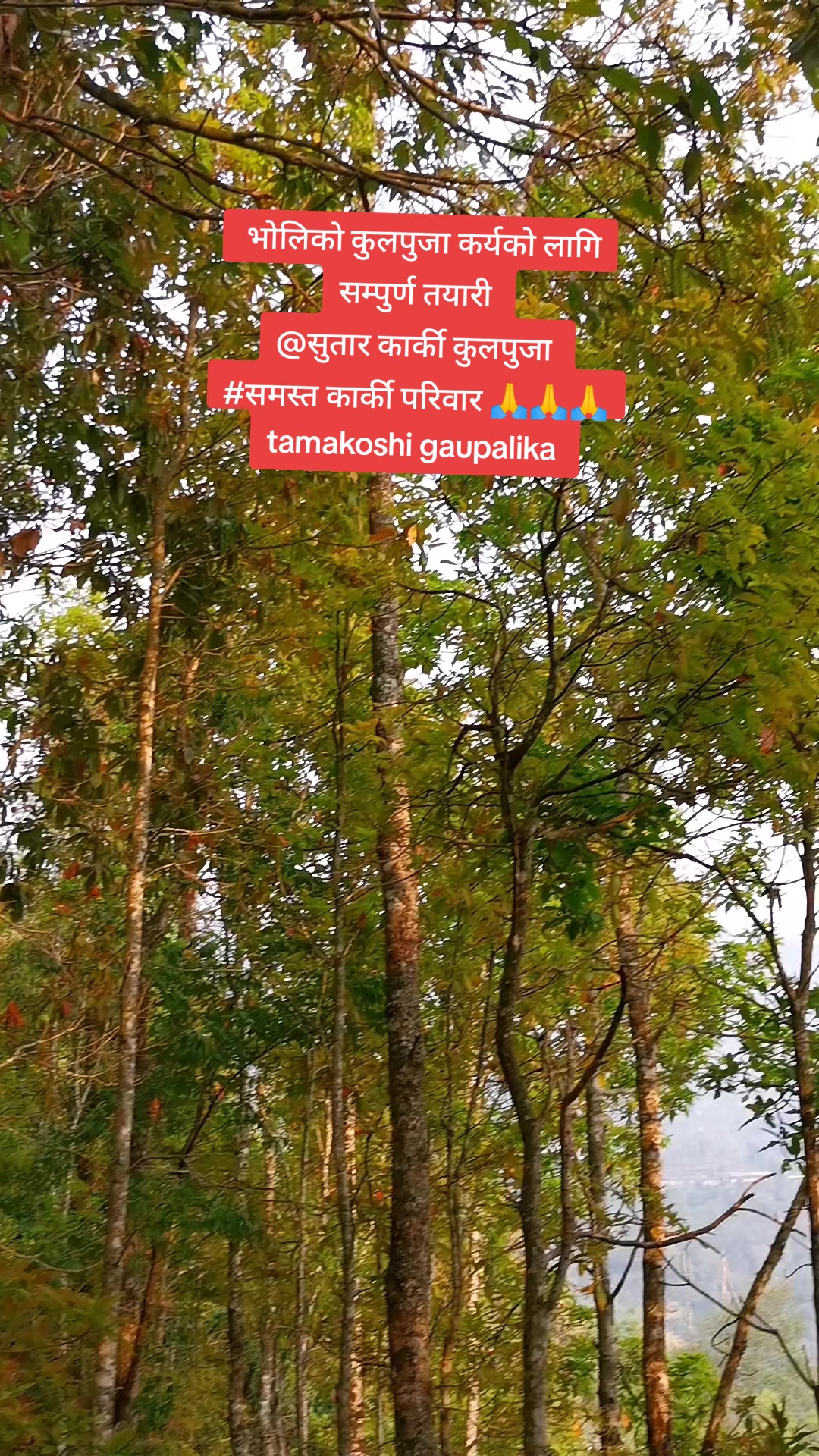 @Kiran Karki